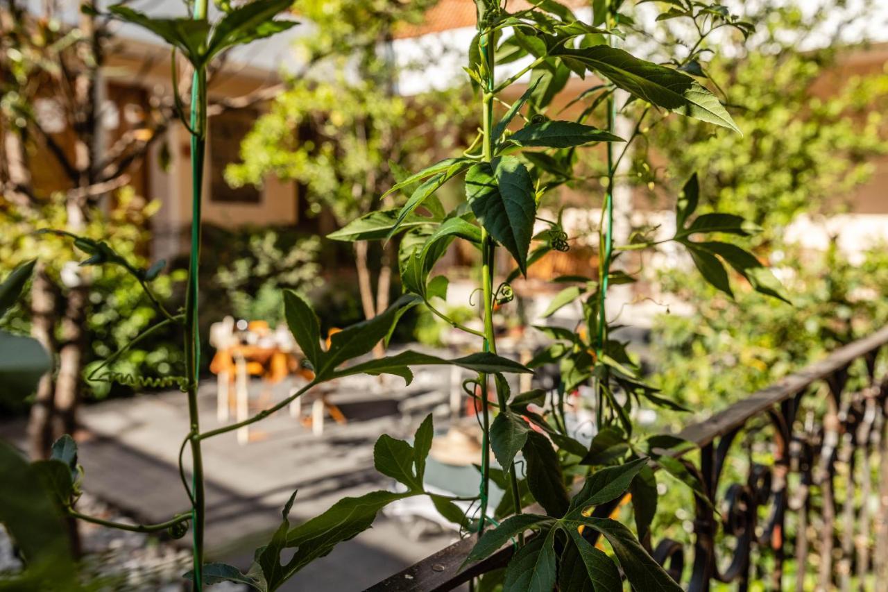 مدينة مكسيكو Casa Tuna المظهر الخارجي الصورة
